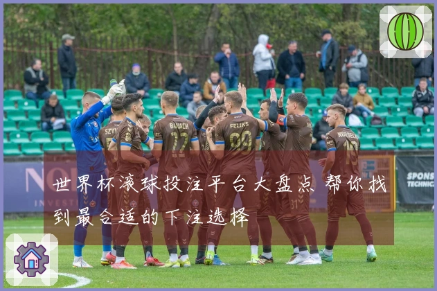 世界杯滚球投注平台大盘点 帮你找到最合适的下注选择