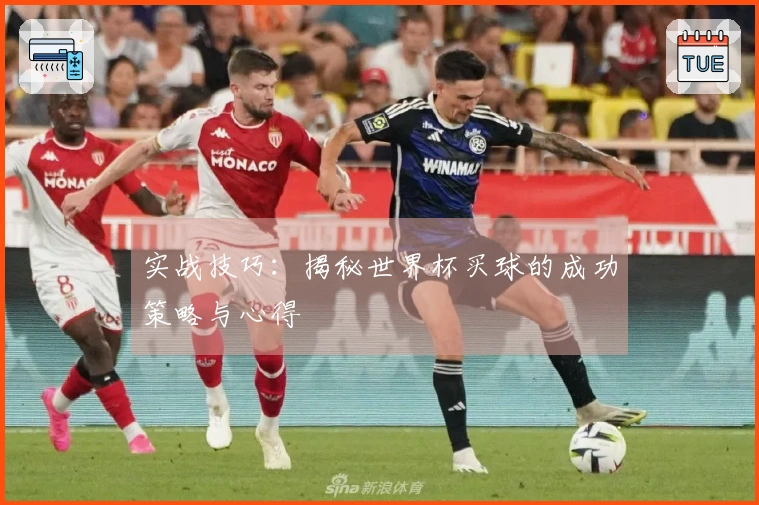 实战技巧：揭秘世界杯买球的成功策略与心得