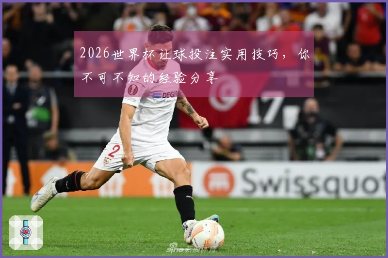 2026世界杯让球投注实用技巧，你不可不知的经验分享